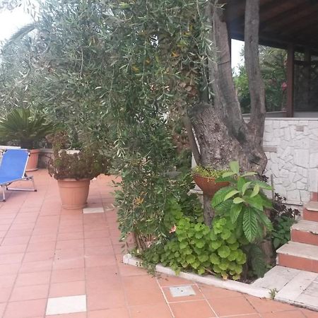 Villa Monica Appartamenti В'єсте Екстер'єр фото