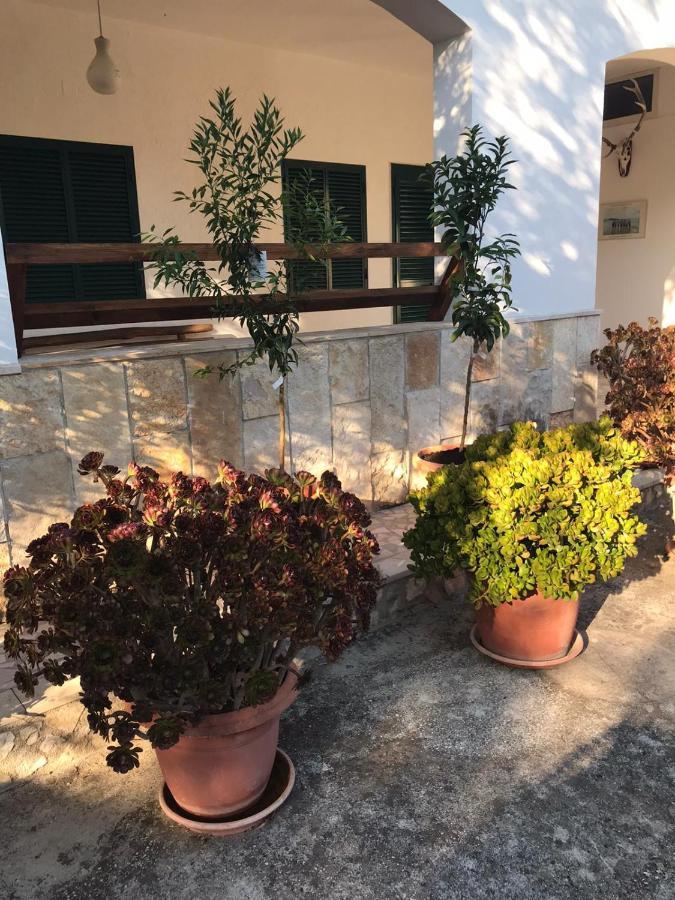 Villa Monica Appartamenti В'єсте Екстер'єр фото