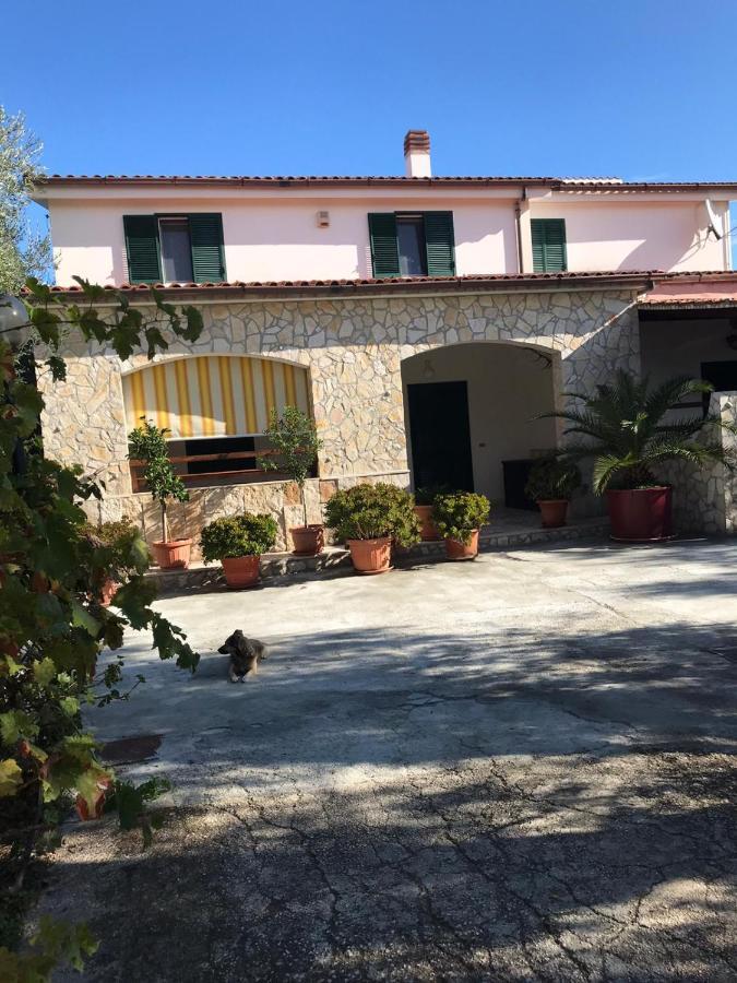 Villa Monica Appartamenti В'єсте Екстер'єр фото