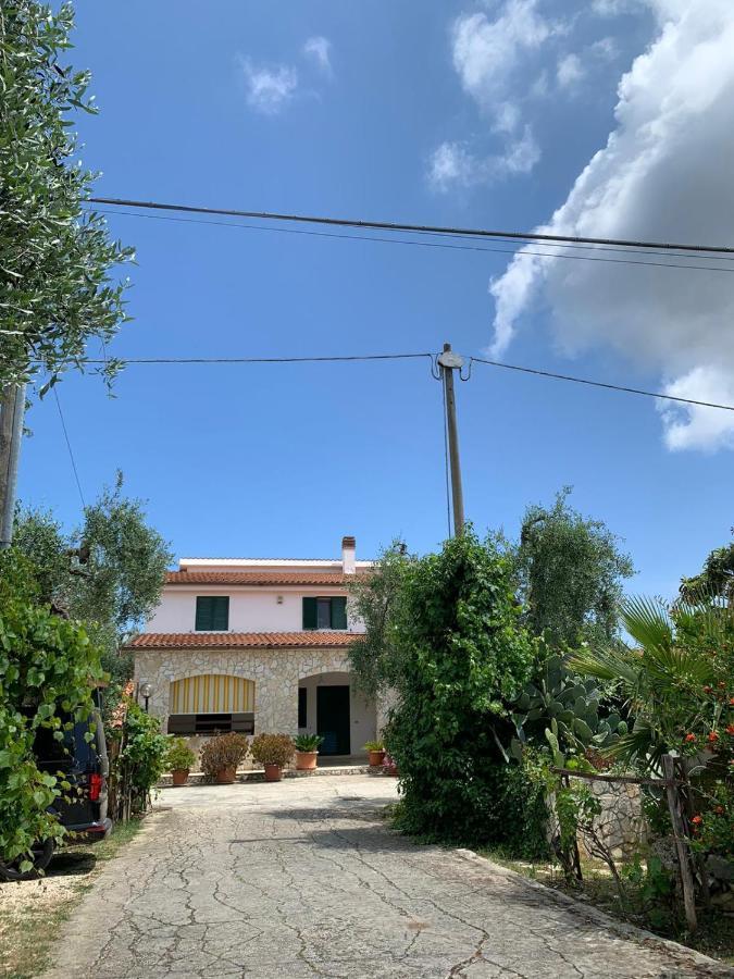 Villa Monica Appartamenti В'єсте Екстер'єр фото