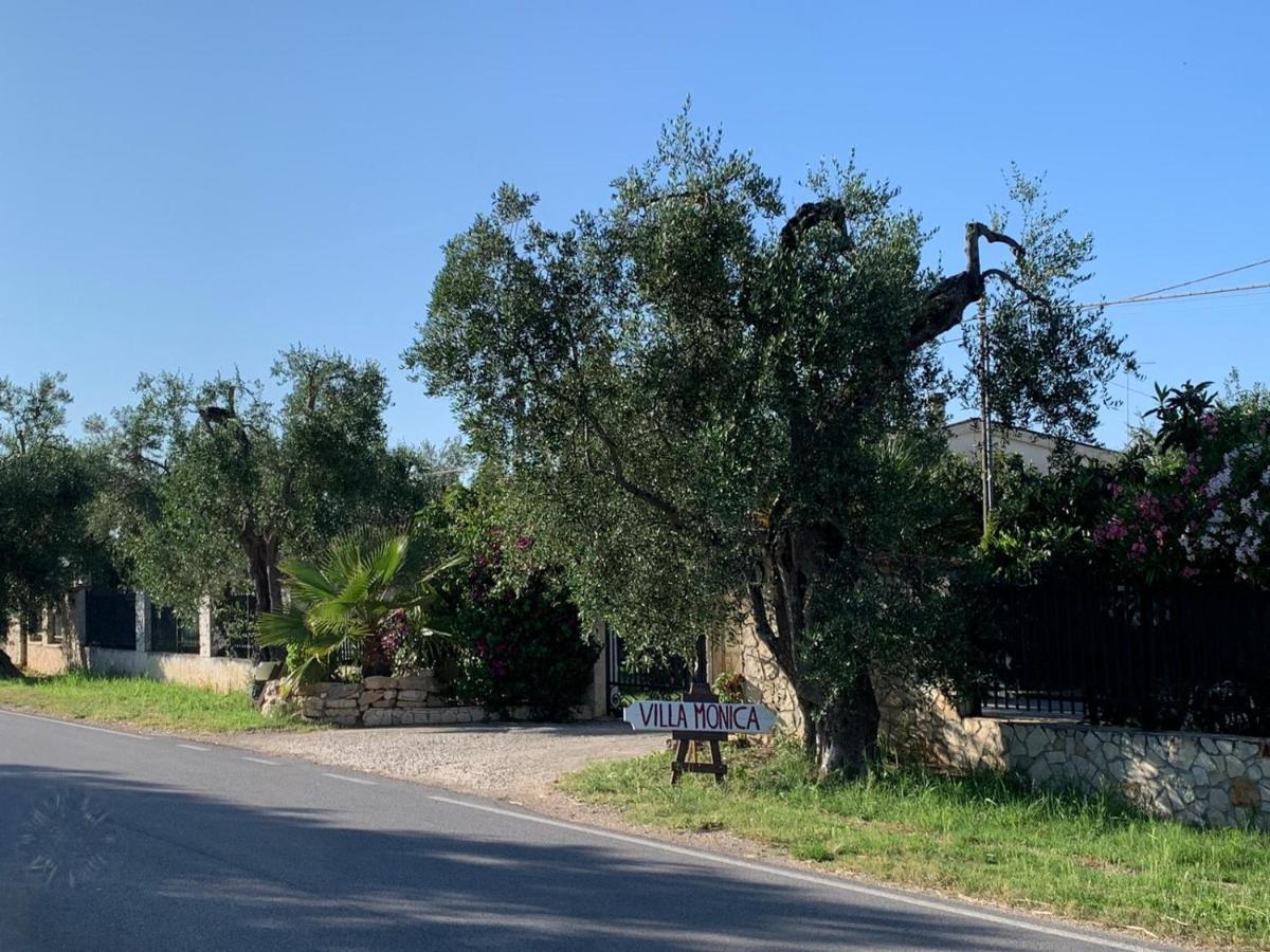 Villa Monica Appartamenti В'єсте Екстер'єр фото