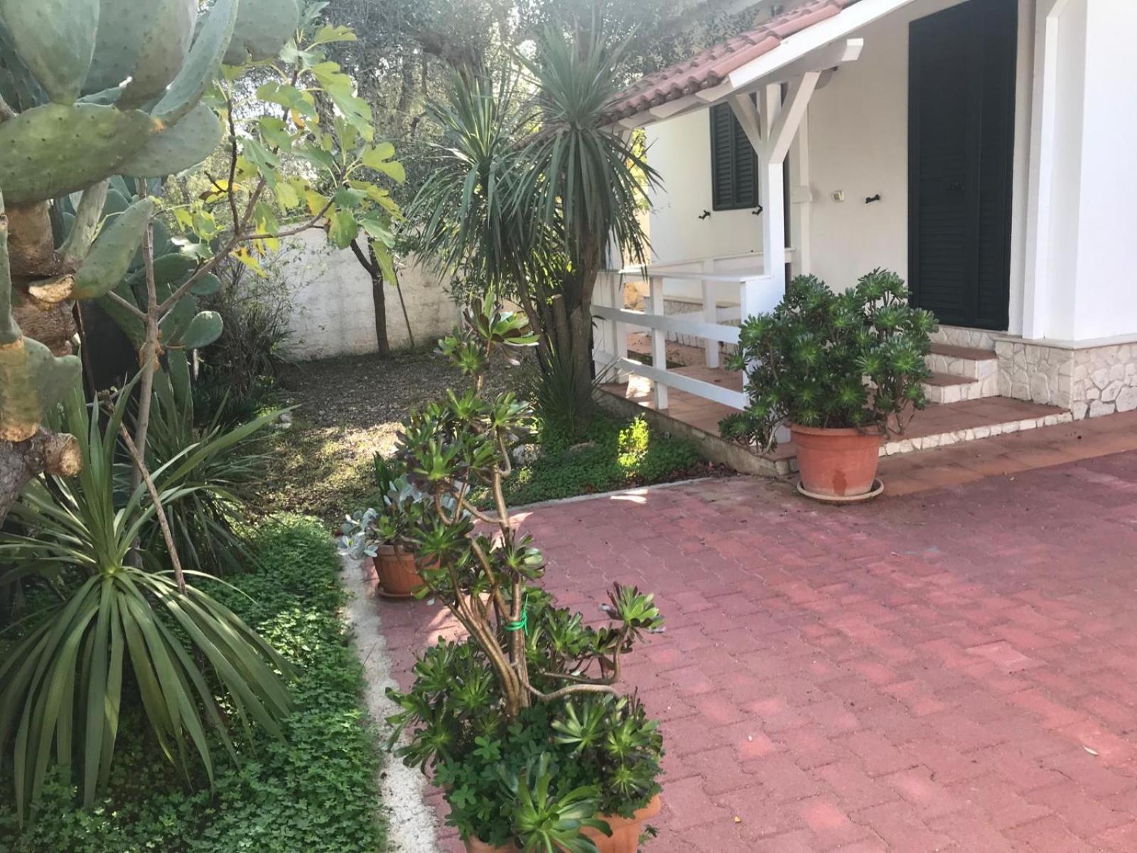 Villa Monica Appartamenti В'єсте Екстер'єр фото