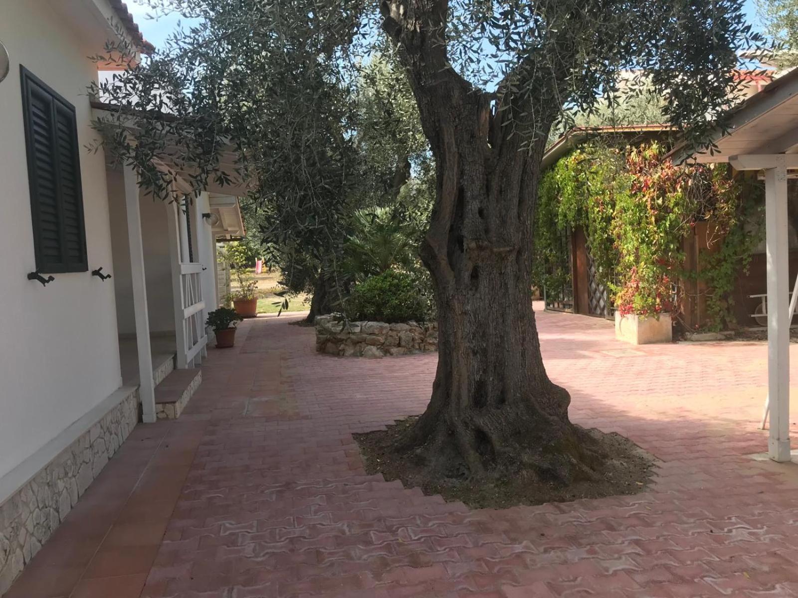 Villa Monica Appartamenti В'єсте Екстер'єр фото