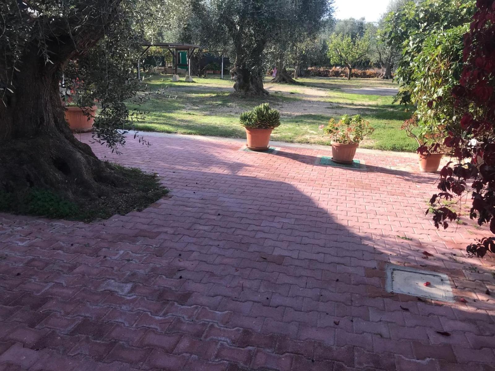 Villa Monica Appartamenti В'єсте Екстер'єр фото