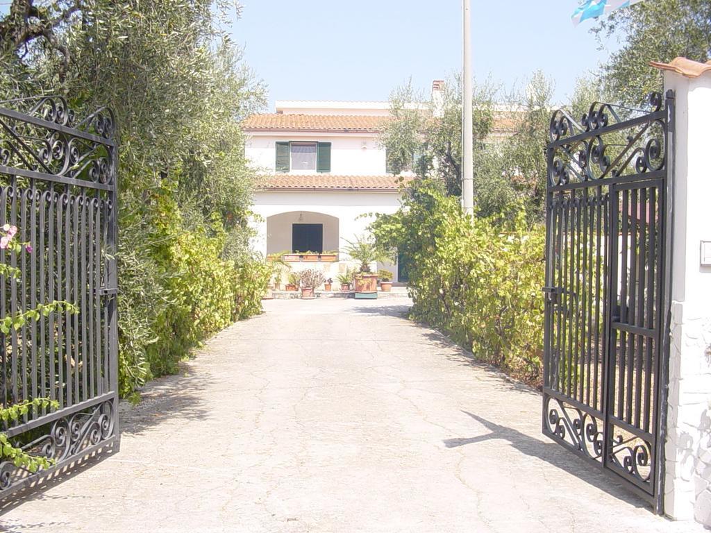 Villa Monica Appartamenti В'єсте Екстер'єр фото