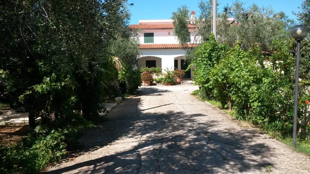Villa Monica Appartamenti В'єсте Екстер'єр фото